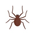 Grass spider icon, flat style