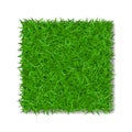 Grass square 3D. Beautiful green grassy field, isolated on white background. Lawn abstract nature texture. Symbol of