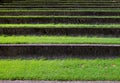 Grass stairs