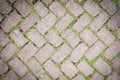 Grass Stone Floor texture pavement design. Royalty Free Stock Photo