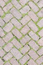 Grass Stone Floor texture pavement design.