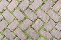 Grass Stone Floor texture pavement design. Royalty Free Stock Photo