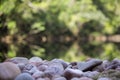 Grass, stones water with defocussed background, Venezuela Royalty Free Stock Photo