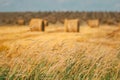 Grass And Summer Hay Rolls In Straw Field Landscape. Haystack, Hay Roll Royalty Free Stock Photo