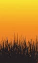 Grass Sunset Background Royalty Free Stock Photo