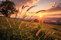 Grass in sunset backlight. Warm tone Royalty Free Stock Photo