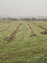 Grass surface with rows of soil and traces of tyres