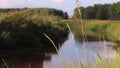 Grass sways in the wind on a background of water