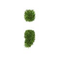 Grass symbols mathematics