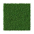 Grass Texture