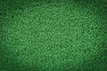 Grass texture or grass background. green grass for golf course, soccer field or sports background concept design. Royalty Free Stock Photo