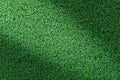 Grass texture or grass background. green grass for golf course, soccer field or sports background concept design. Royalty Free Stock Photo