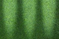 Grass texture or grass background. green grass for golf course, soccer field or sports background concept design. Royalty Free Stock Photo