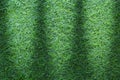 Grass texture or grass background. Green grass for golf course, soccer field or sports background concept design. Artificial green Royalty Free Stock Photo