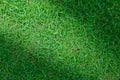 Grass texture or grass background. green grass for golf course, soccer field or sports background concept design.