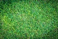 Grass texture or grass background. green grass for golf course, soccer field or sports background concept design. Royalty Free Stock Photo