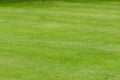 Grass texture from close up of a neat mown lawn background