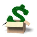 Grass texture dollar sign in open cardboard box, 3D illustration