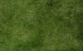 Grass texture of football