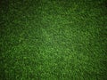 Green grass Texture.Green grass background.View of green grass.Grass texture of football.Fresh grass.