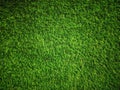 Green grass Texture.Green grass background.View of green grass.Grass texture of football.Fresh grass.