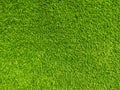 Green grass Texture.Green grass background.View of green grass.Grass texture of football.Fresh grass.