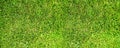 Grass Texture.Natural Green grass texture. Perfect Golf or football field background.Grass Field. Putting, domestic. Royalty Free Stock Photo