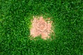 Grass texture with rose stone Royalty Free Stock Photo