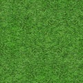 Grass Texture - Seamless Royalty Free Stock Photo