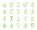 Grass simple color line icons vector set Royalty Free Stock Photo