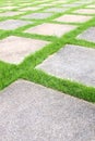 Grass tiles walk way Royalty Free Stock Photo