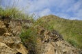 Grass on top of a rocky cliff against a blue sky. Low angle. Mountain stone rock landscape background.