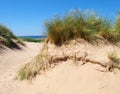 Grass on the top of sand dunes near the beach on the sefton coast in merseyside with blue summer sea and sky Royalty Free Stock Photo