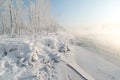 Grass and trees covered with frost Royalty Free Stock Photo