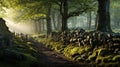 Mystical Morning: Enchanting Forest Path With Stone Wall