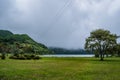 Grass and trees next to Lagoa das Sete Cidades in lowlight with morning fog in the crater hills, SÃ£o Miguel - Azores PORTUGAL Royalty Free Stock Photo