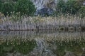 Grass and trees reflexing on the water Royalty Free Stock Photo