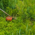 Grass trimmer in action Royalty Free Stock Photo