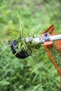 Grass trimmer head Royalty Free Stock Photo