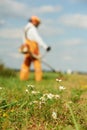 Grass trimmer works concept Royalty Free Stock Photo