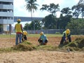 Grass turfing works at open area Royalty Free Stock Photo