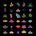 Grass, twigs, leaves and flowers isolated on black background. Set of botanical elements. Vector illustration Royalty Free Stock Photo