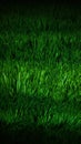 Grass underfoot Abstract top view of lush green artificial texture