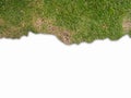 The grass is the upper edge of the frame, isolated background. Royalty Free Stock Photo