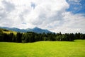 Grass valley in forest Royalty Free Stock Photo