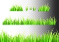 Grass vector isolated on white, black and transparent background. Tufts of grass Royalty Free Stock Photo