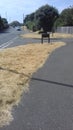 Grass verges in heatwave