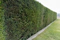 Grass wall, ornamental garden arrangement