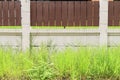 Grass and weed side wall at rainy season.