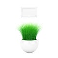 Grass in White Ceramics Planter Pot and White Wooden Sign with Blank Space for Your Design. 3d Rendering Royalty Free Stock Photo
